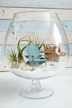 an air plant in a glass bowl filled with sand