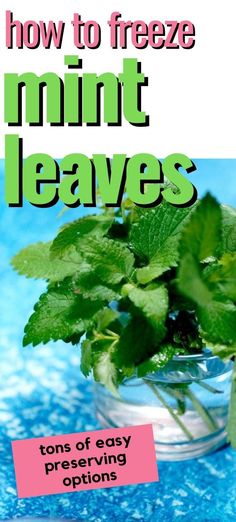 a glass jar filled with mint leaves on top of a blue cloth