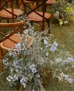 the chairs are lined up on the grass with blue flowers in them and one chair is empty