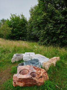 some rocks sitting in the grass near trees