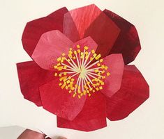 a paper flower being cut out with scissors