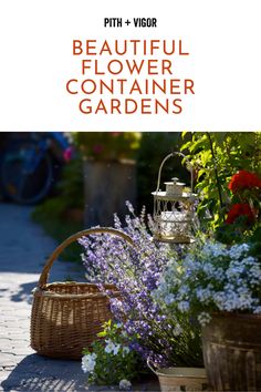 beautiful flower container gardens with text overlay