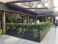 people are sitting at tables in front of a restaurant with plants growing on the windows