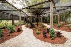 an outdoor garden with lots of plants and trees in the area that is surrounded by gravel