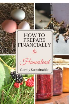 the cover of how to prepare financially to homestate