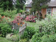 the garden is full of colorful flowers and plants in front of a small house with a wooden fence