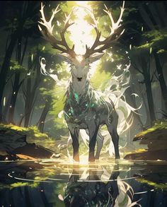 a deer standing in the middle of a forest next to a body of water with trees around it