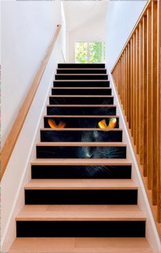 a cat's face is painted on the stair treads in this staircase case