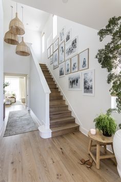 a staircase with pictures on the wall and potted plant next to it in front of stairs