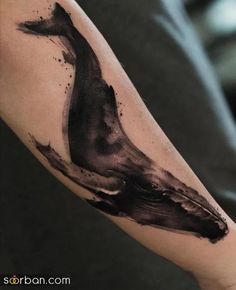 a black and grey inked whale tattoo on the right arm with watercolors