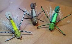 three different types of flies sitting on top of a wooden table