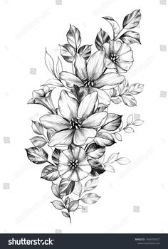 Hibiscus Flower Drawing, Hibiscus Flower Tattoos, Hibiscus Tattoo, Flower Tattoo Drawings, Flower Tattoo Shoulder, Flower Outline, Hand Drawn Floral, Drawn Floral