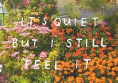 a garden with flowers and words written on the side wall that says, it's quiet but i still feel it