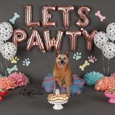 a dog sitting on top of a cake surrounded by balloons