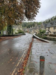 an empty street with fallen leaves on the ground and houses in the background, during a rain storm