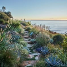 a garden with lots of plants and rocks on the side of the road next to the ocean