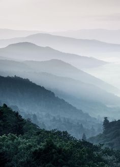 the mountains are covered in fog and low lying clouds, with trees on each side