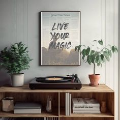 a record player sitting on top of a wooden shelf next to a potted plant