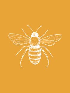 a drawing of a bee on an orange background