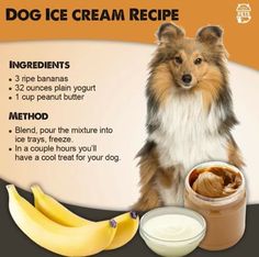 a dog sitting next to a jar of peanut butter and bananas with instructions on how to use it