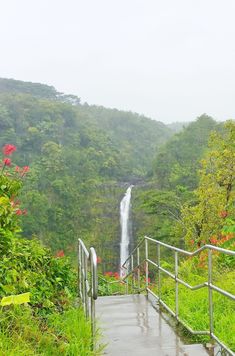 stairs lead down to a waterfall in the middle of green trees and bushes with red flowers on either side