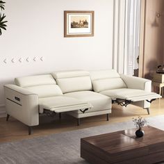 a living room filled with furniture and a large plant in the middle of the room