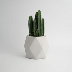 a green cactus in a white geometric pot