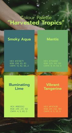 a poster with different types of fruit in it's color palettes and text