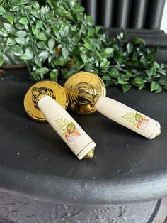 two white and gold door knobs sitting on top of a black table next to a green bush