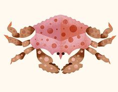 an image of a crab with spots on it's back legs and arms, under an umbrella