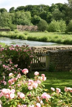 a bench sitting in the middle of a lush green field next to a river with pink flowers