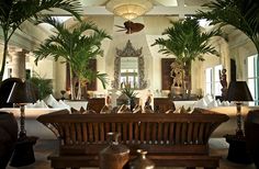 a living room filled with lots of furniture and potted plants on top of it