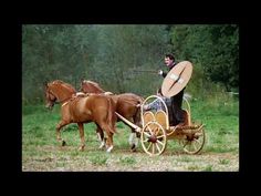 a man riding on the back of a horse drawn carriage next to two brown horses