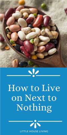 beans in a wooden spoon with the title how to live on next to nothing