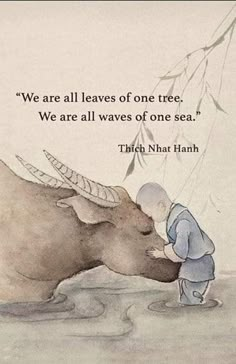 an illustration of a man kissing a water buffalo with a caption that reads we are all leaves of one tree, we are all waves of one sea