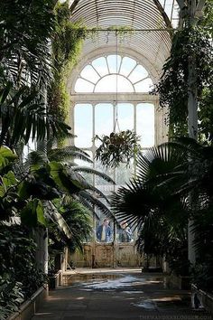 the inside of a greenhouse with lots of plants