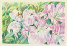 a pastel drawing of pink and white lilies with green leaves in the background