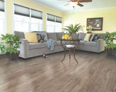 a living room filled with furniture and potted plants on top of a wooden floor