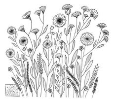 an ink drawing of wildflowers in black and white