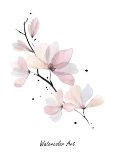 watercolor art with pink flowers on white background