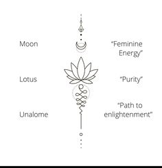 the four main elements in an enlightening energy flow, including lotus, lotus flower, and chakra