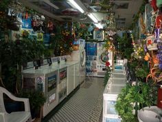 a room filled with lots of plants and decorations