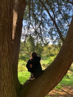 a person sitting on top of a tree branch in the shade with their back to the camera