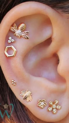 an ear with four different types of piercings on it's sides and one in the middle