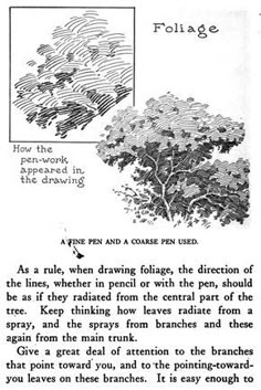 an old book page with trees and text on the bottom right hand corner, which reads folige