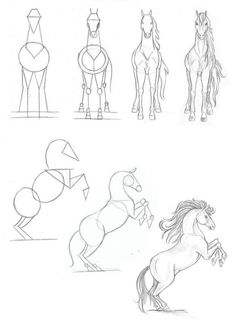 some drawings of horses that are standing in the same direction and one horse is running