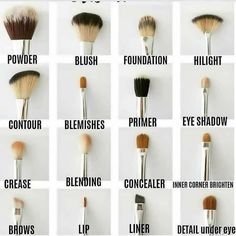 Types Of Makeup Brushes, Makeup Brush Uses, Brush Guide, Mekap Mata, Makeup Tip