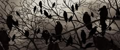 many birds are sitting on the branches of a tree at sunset or dawn, silhouetted against an overcast sky