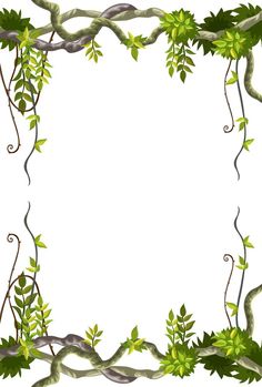 an image of vines and leaves on a white background