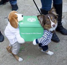 two dogs dressed in clothes standing next to each other and one is holding a green box